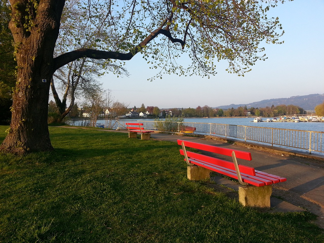 弗拉霍维奇晒龙珠悟空恢复照：手术很顺利，感谢大家